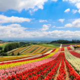 北海道観光おすすめ10選！季節で景色が変わる楽しい絶景スポットとは