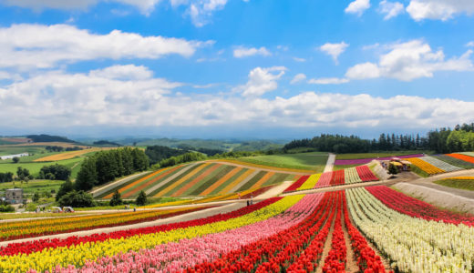 北海道観光おすすめ10選！季節で景色が変わる楽しい絶景スポットとは