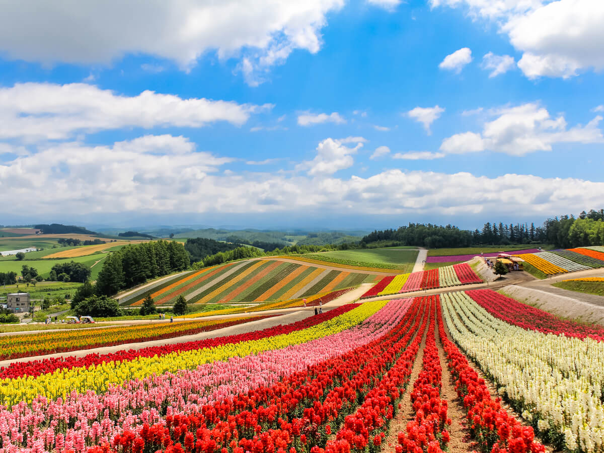 北海道観光おすすめ10選！季節で景色が変わる楽しい絶景スポットとは